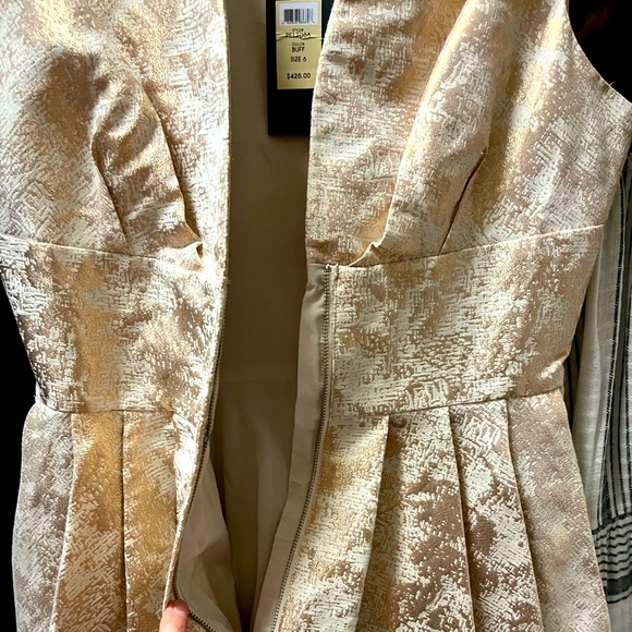 RACHEL ZOE• Gorgeous Daria Dress ✨✨✨ Fit & Flare Mini - Picture 7 of 7